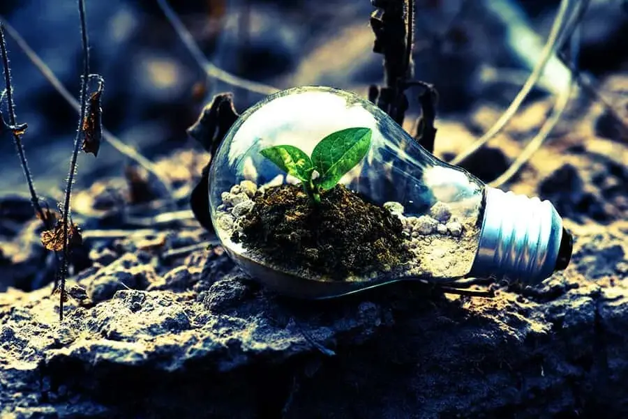 economia verde